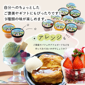 松本牧場アイス定期便（9個入り×2回）／ ジェラート アイスクリーム【Z058】
