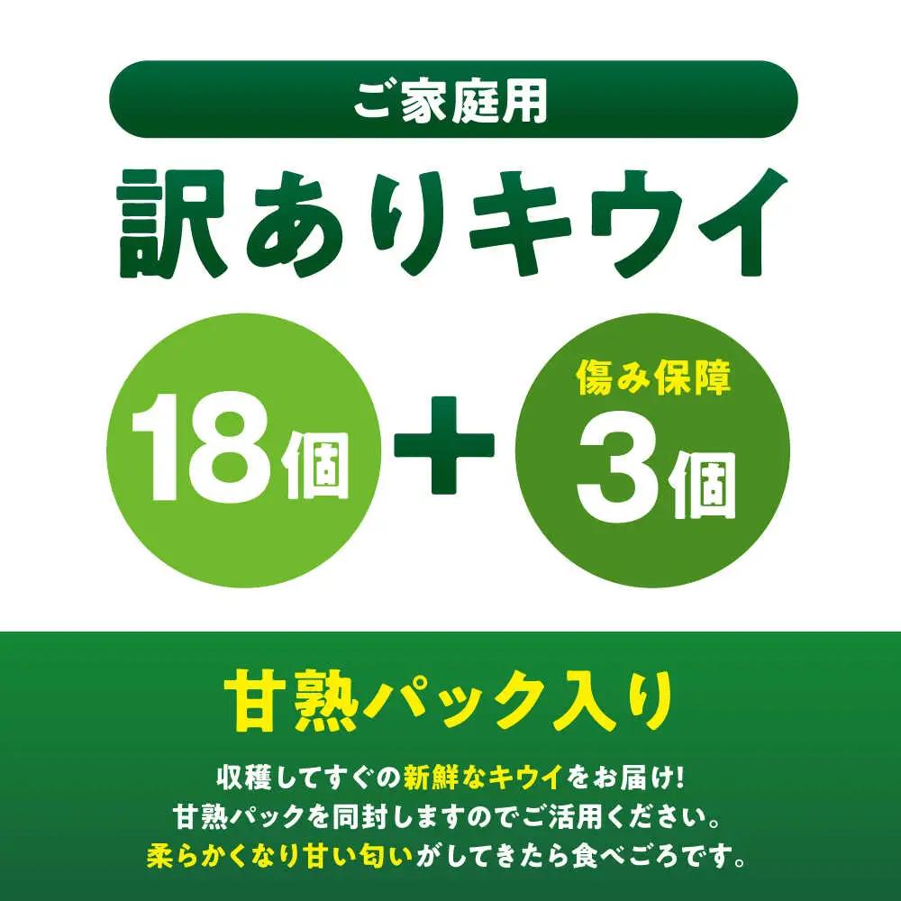 キウイフルーツ 訳あり（18個）【11月上旬から順次発送】キウイフルーツ[AGDC007]