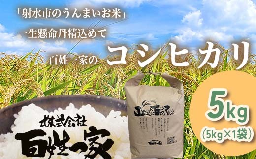 【射水市】【射水の美味しいお米】R8年産 百姓一家のコシヒカリ 5kg【精米】｜米 こめ コメ こしひかり 白米 ブランド米 銘柄米 人気 ランキング 富山 富山米 北陸 北陸米 富山コシヒカリ 北陸コシヒカリ 精米コシヒカリ 5キロ 5キロ米 5kg 5kg米 ※2026年10月～発送