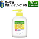 【ふるさと納税】第一石鹸 薬用ハンドソープ 本体 250ml×24個（1ケース）