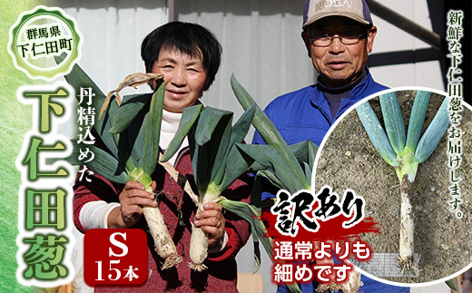 訳あり（家庭用）丹精込めた下仁田葱（Sサイズ 15本） とろける 甘い ねぎ ネギ 王様ねぎ 殿様ねぎ 特産 栄養たっぷり ブランド 上州ねぎ すきやき F21K-586