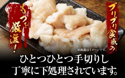 訳あり 博多醤油もつ鍋10人前（2人前×5セット）お取り寄せグルメ お取り寄せ お土産 九州 福岡土産 取り寄せ グルメ MEAT PLUS CP047