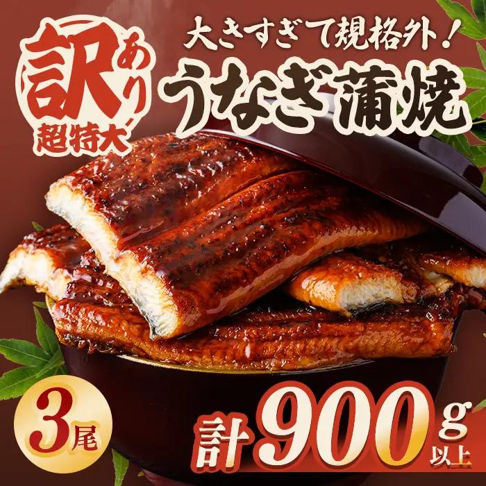 うなぎ 訳あり 3尾 計900g以上 すぐ届く 【うなぎ】【ho1686】