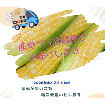 【2026年度先行受付】愛知県みよし市産 朝採り「夢コーン。」Lサイズ8本セット 数量限定【配送不可地域：離島】