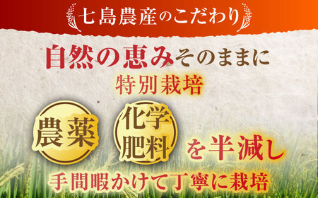 【全5回定期便】令和7年産 ななしま家 さがびより・夢しずくセット 各5kg / 白米 特別栽培 / 佐賀県 / 有限会社七島農産 [41AHAC009]