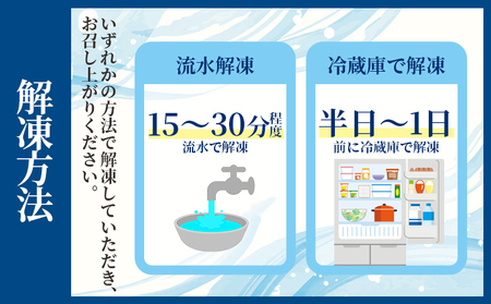 【2回定期便】かつおのたたき 約600g かつおのたたき Wnz-0008