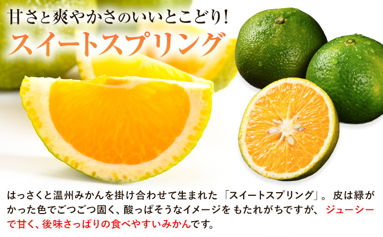 訳あり ご家庭用 スイートスプリング 約 10kg 柑橘 かんきつ 果物 フルーツ 品種 生産者直送 産地直送 南国 潮風 天草 西海岸 苓北 都呂々 国産 九州 熊本県 １０キロ 送料無料《12月上