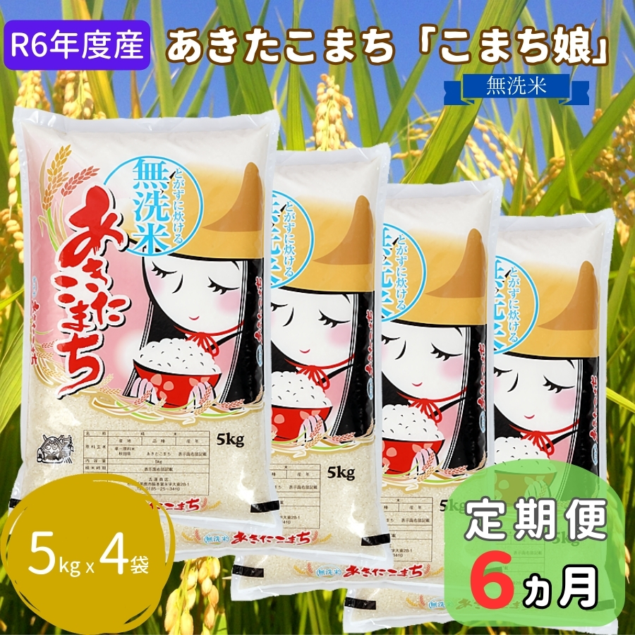 定期便 R6年度産  『こまち娘』あきたこまち 無洗米 20kg  5kg×4袋6ヶ月連続発送（合計120kg）吉運商店 秋田県 男鹿市