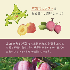 冷凍プラム 500g 冷凍 プラム 果物 くだもの フルーツ 旬の果物 旬のフルーツ 大橋さくらんぼ園 果物類 フルーツ デザート 完熟 急速冷凍 新鮮 美味しい 人気 冷凍配送 北海道 芦別市