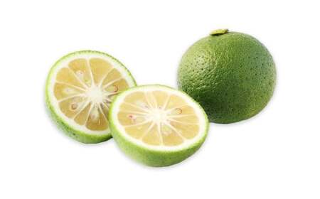 【先行予約】 有機JAS認証 かぼす青果 約4kg（箱入り） 【2026年8月下旬から11月下旬発送予定】