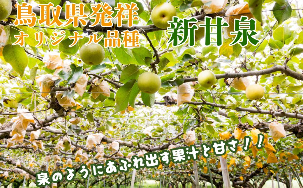 プレミアム新甘泉 3kg