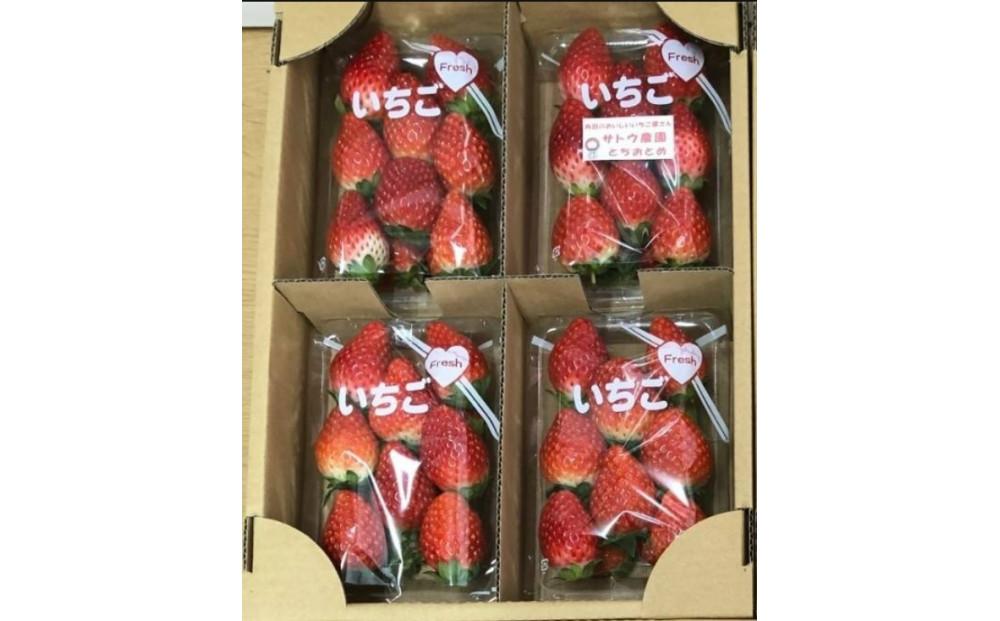 【角田市産地直送】完熟いちご「とちおとめ」合計約1kg(250g×4パック)