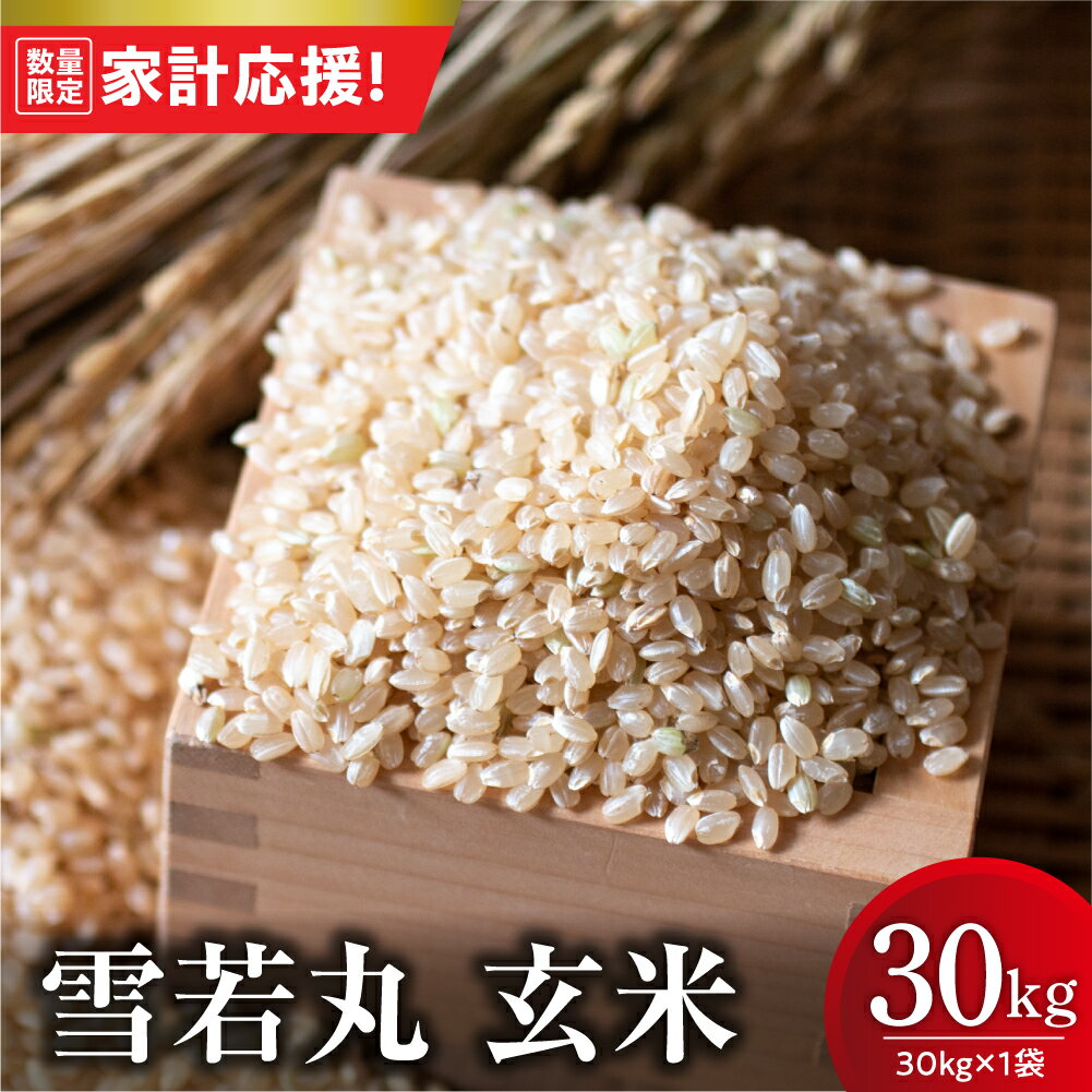 【ふるさと納税】【家計応援】【 令和7年産 】 雪若丸 玄米 30kg （ 30kg × 1袋 ） 産地直送 2025年産 ゆきわかまる ブランド米 5キロ 1袋 農家直送 米 こめ コメ お米 おこめ 白米 精米 ごはん ご飯 国産米 国産 常温 山形県 米沢市 歳末感謝