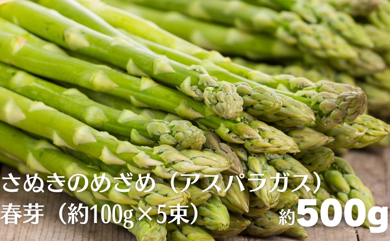 さぬきのめざめ（アスパラガス）春芽  約500g（約100g×5束） 野菜セット 旬野菜