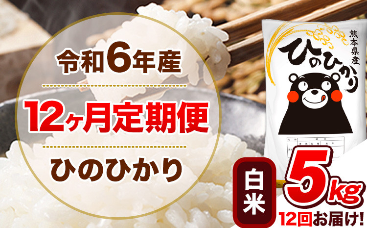 
            令和6年産 【12ヵ月定期便】 白米 ひのひかり 定期便 5kg 5kg×1袋《お申込み翌月から出荷開始》 熊本県産 精米 ひの 米 こめ ヒノヒカリ コメ お米
          