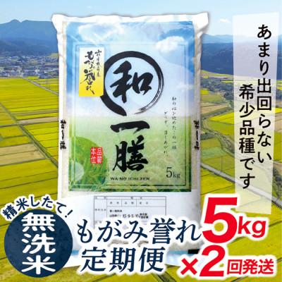 ふるさと納税 最上町 【毎月定期便】買い忘れなしで美味しいもがみ誉れ5kg(無洗米)が届く全2回