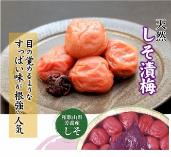紀州南高梅 しそ漬梅 850g×1箱 ［Kn4］