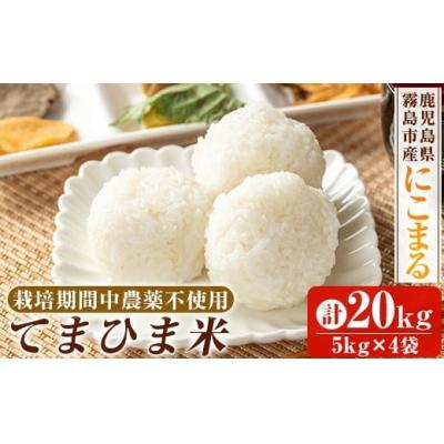 ふるさと納税 霧島市 《令和7年産》てまひま米(品種:にこまる) (計20kg)【末蜜農園】K-198-D