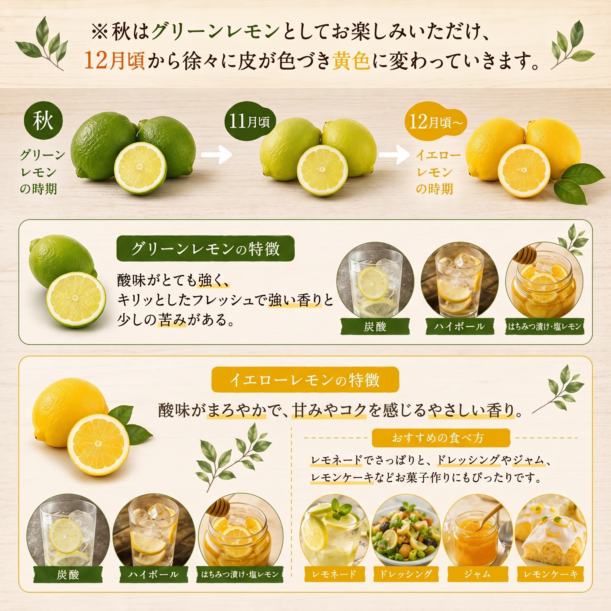 【先行予約】 レモン 約 1.5kg 12個 檸檬 フルーツ 果物 くだもの 柑橘 国産 新鮮 減農薬 ノンワックス マルエム直販 不使用 皮ごと 牡蠣 かき 魚 さかな 肉 にく スイーツ パスタ 
