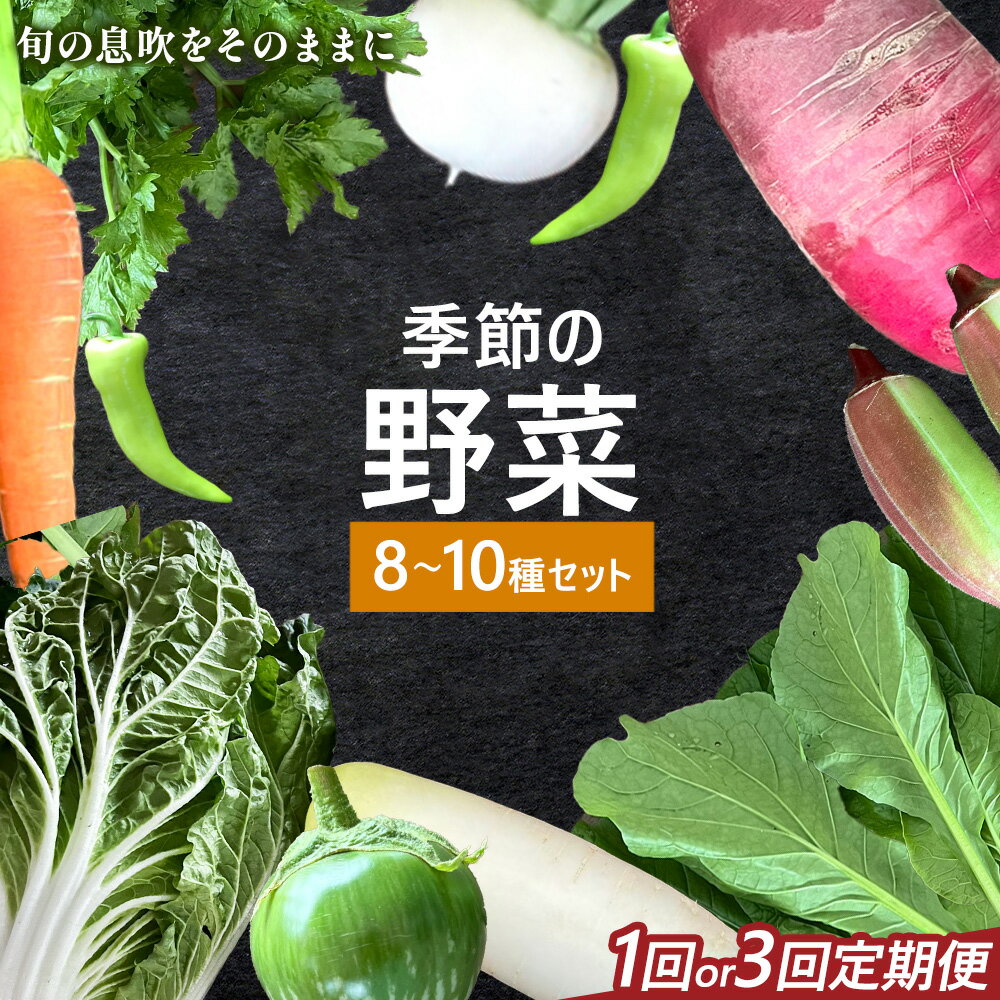 【ふるさと納税】 野菜 詰め合わせ お任せ セット 季節の野菜セット (8~10種) 選べる 単発便 3ヶ月定期便 自然野菜のら 《お届け回数により出荷時期は異なります》　千葉県 我孫子市 旬 青果物 やさい【配送不可地域あり】(沖縄・離島) 野菜 セット