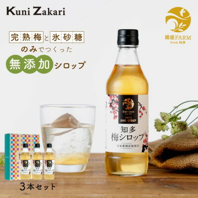 【ふるさと納税】國盛ファーム 梅シロップ 3本セット【1720874】