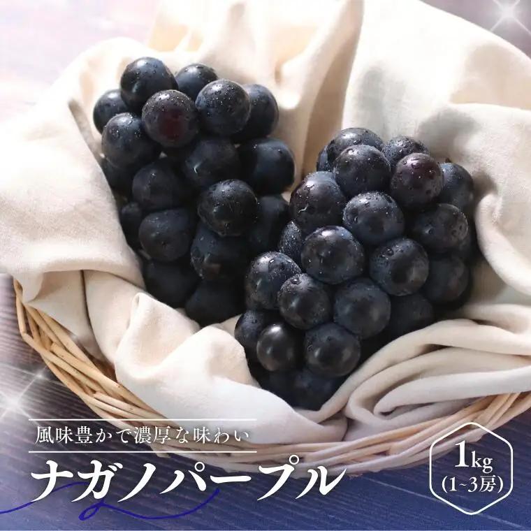 MS32 ぶどう ナガノパープル （長野県産秀品） 約1kg / 2026年8月下旬～10月上旬頃 配送予定 // 種なし 皮ごと 葡萄 ブドウ ぶどう ナガノ パープル 南信州 長野県 オリジナル品種 稀少