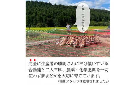 【令和6年産予約】【希少品種】特別栽培米　夢まどか10㎏