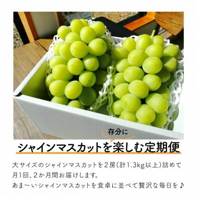 ふるさと納税 津山市 【発送月固定定期便】【2026年先行予約】シャインマスカット大2房の満足便/全便計2.6kg〜全2回 |  | 01