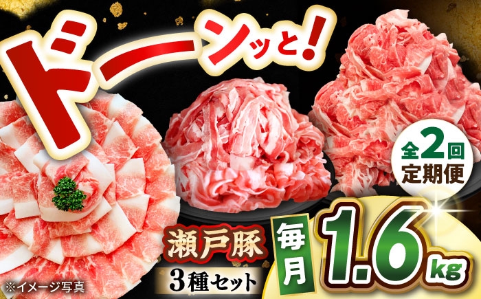 
                  【全2回定期便】 瀬戸豚 豚肉3種セット 計1.6kg (ロースしゃぶ500g、バラスライス500g、肩バラ切り落とし600g) / 肉 豚肉 豚バラ しゃぶしゃぶ 冷凍 小分け / 瀬戸市 / 関屋精肉店 [BBBQ228]
                