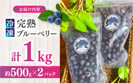 旬の美味しさそのまま！冷凍 完熟ブルーベリー 計1kg (約500g×2パック)  熊本県産冷凍ブルーベリー 山都町産冷凍ブルーベリー ブルーベリー フルーツ ブルーベリースムージー 果物 小分け冷凍