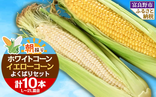 
                  食べ比べホワイトコーンとイエローコーン朝採り当日発送富良野産よくばりセット合計10本【1405477】
                
