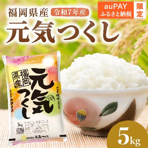 【auPAYふるさと納税限定】令和7年産 福岡県産元気つくし 5kg