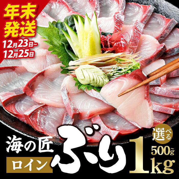 【ふるさと納税】＼年末発送！先行予約／ 海の匠 ブリ 刺身 冷蔵 スキンレスロイン 皮引き済み (500g・1kg) ＜内容量が選べる＞ 内容量が選べる ぶり 鰤 ぶりしゃぶ しゃぶしゃぶ 海鮮 海鮮丼 国産 養殖ブリ ぶり丼 【JP002-1223・JP003-1223】【三共物商】