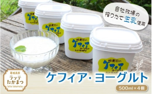 ケフィア・ヨーグルト500ml×4個 ／ 葛城 高原 牧場 ケフィア ヨーグルト【latt0011】