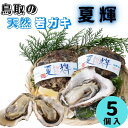 【ふるさと納税】【21004】夏輝（岩ガキ）｜鳥取県 岩美町 岩ガキ 岩牡蠣 牡蠣 ブランド牡蠣 新鮮 海鮮 天然 かき セット 冷蔵 旬