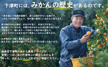 みかんジュース【お中元・のし対応】お中元お中元お中元お中元 父の日