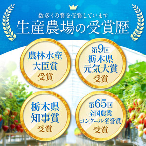 【1月発送】ご褒美いちご とちあいか 2L以上 約1120g 280g×4パック