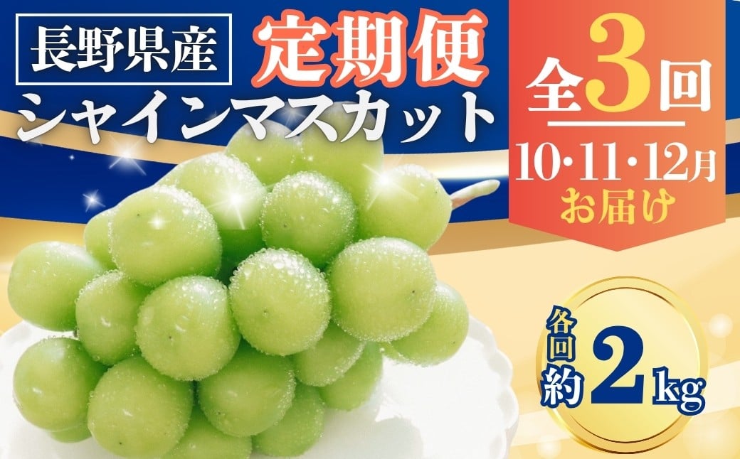 
            【2026年先行予約】【定期便3回】シャインマスカット 約2kg×3回 (2026年10月/11月/12月発送)｜ 果物 フルーツ 白ぶどう 葡萄 ブドウ 種無し 種なし 皮ごと 千曲市 長野県 信州
          