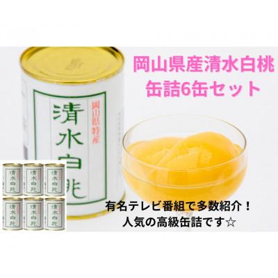 ふるさと納税 岡山市 清水白桃缶詰　6缶セット
