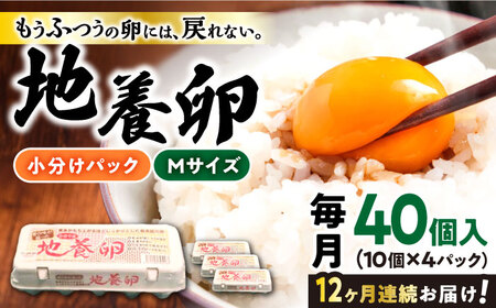 【黄身がつかめる最高級の卵】【12回定期便】かきやまの「地養卵」 Mサイズ 40個×12回定期便＜垣山養鶏園＞ [CBB020] 卵 たまご タマゴ たまご