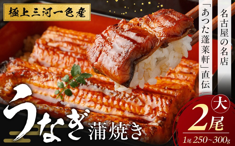 
【極上三河一色産】うなぎ蒲焼 2尾（名古屋の名店「熱田蓬莱軒」 直伝）
