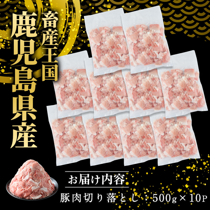 《訳あり》鹿児島県産 豚肉 切り落とし (計5kg・500g×10P) 小分け 冷凍 国産豚肉 鹿児島 ポーク 肉 個包装 人気 ランキング 【スターゼン】starzen-6076-10