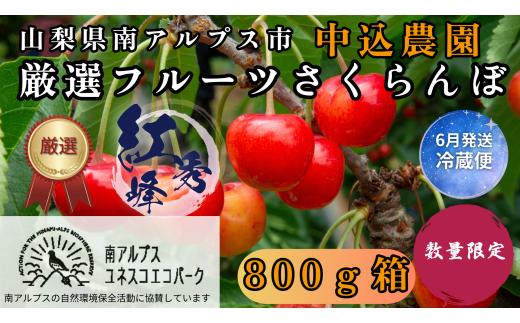 ＜2026年発送先行予約＞ 山梨県南アルプス市産 厳選さくらんぼ (紅秀峰) 800g ALPEM012