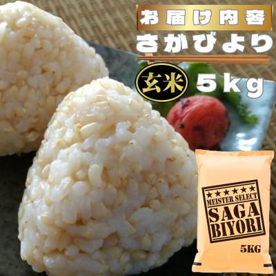 ふるさと納税 鳥栖市 【玄米】さがびより5kg(鳥栖市) |  | 03