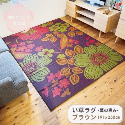 ふるさと納税 柳川市 い草 ラグ  華の恵みふっくら仕上げ《ブラウン》　191cm×250cm