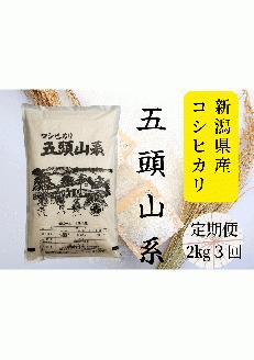 【新米】【3回定期便】コシヒカリ 2kg×3回 「米屋のこだわり阿賀野市産」 1E18015