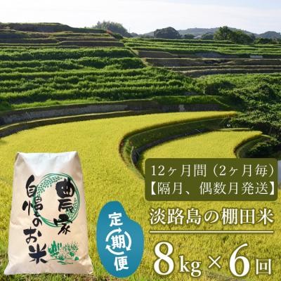 ふるさと納税 淡路市 【定期便】淡路島の棚田米 8kg×6回(隔月、偶数月中旬発送)　ae01065
