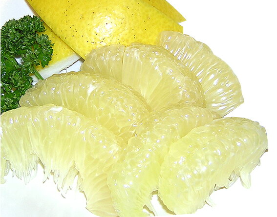 【ふるさと納税】高知県産 土佐文旦 10kg [土佐市] 文旦 【ご家庭用】 「2026年2月中旬頃より発送します」