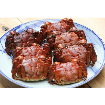 【ふるさと納税】【期間限定】天然活きモクズガニ 約1kg（6～10匹、オス・メス混合） ネットに入れてお届け 下処理不要 調理レシピ付き AB4027