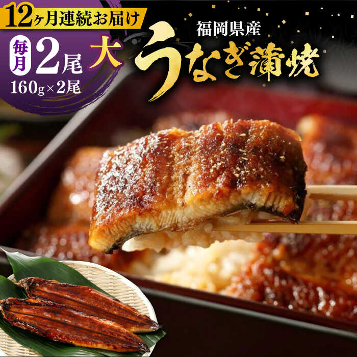 【ふるさと納税】【全12回定期便】福岡県産 うなぎ 蒲焼 大2尾　合計 320 g（1尾あたり 160g以上）《豊前市》【福岡養鰻】 国産 うなぎ 大[VAD013] 180000 180000円